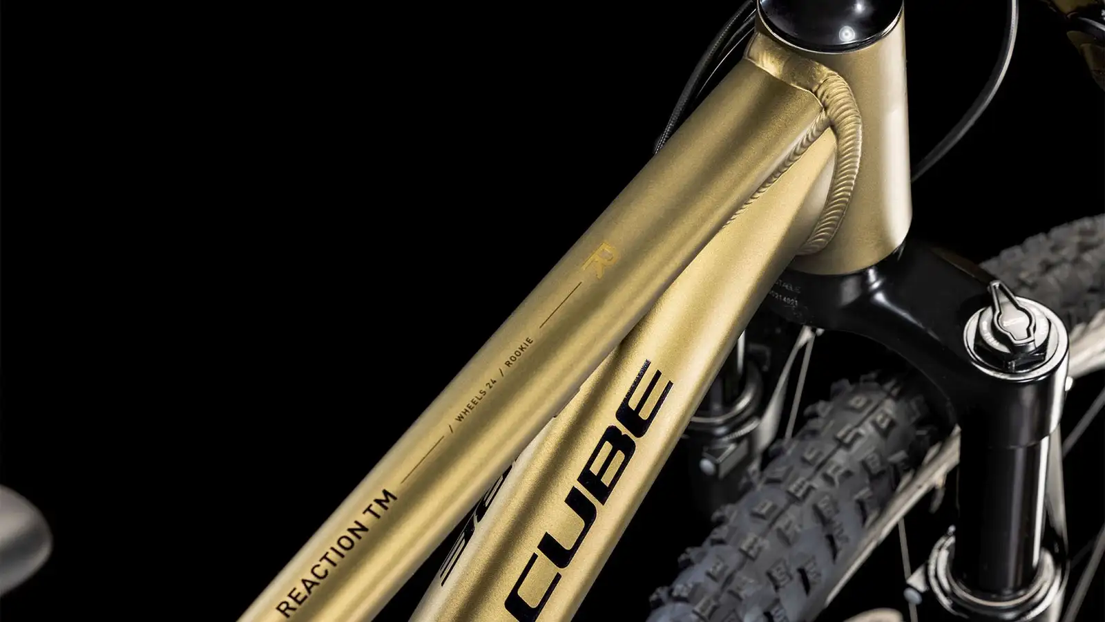 Cube REACTION 240 TM - Image 2