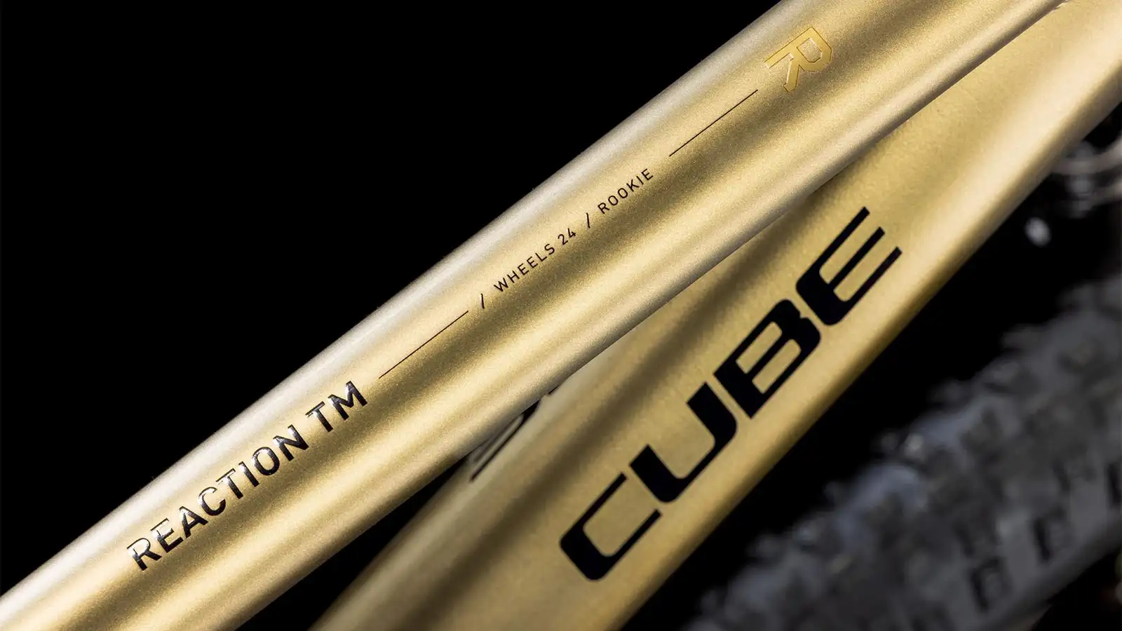 Cube REACTION 240 TM - Image 3