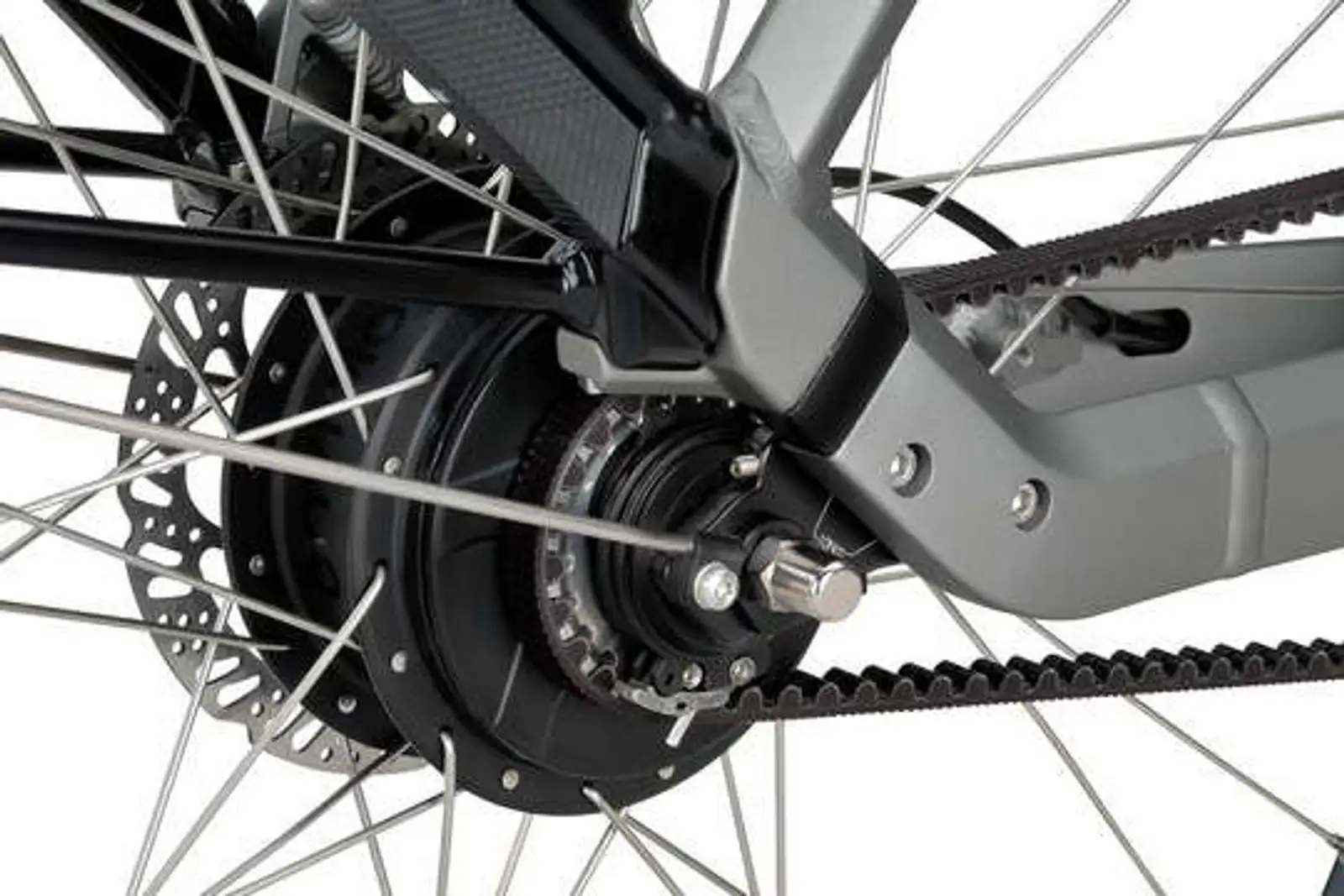 Sparta A-Shine Energy - Image 10