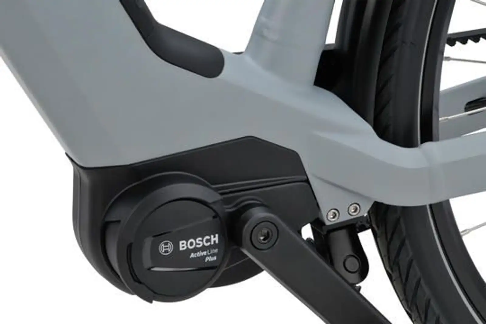 Sparta D-Rule Energy 2026 - Image 3