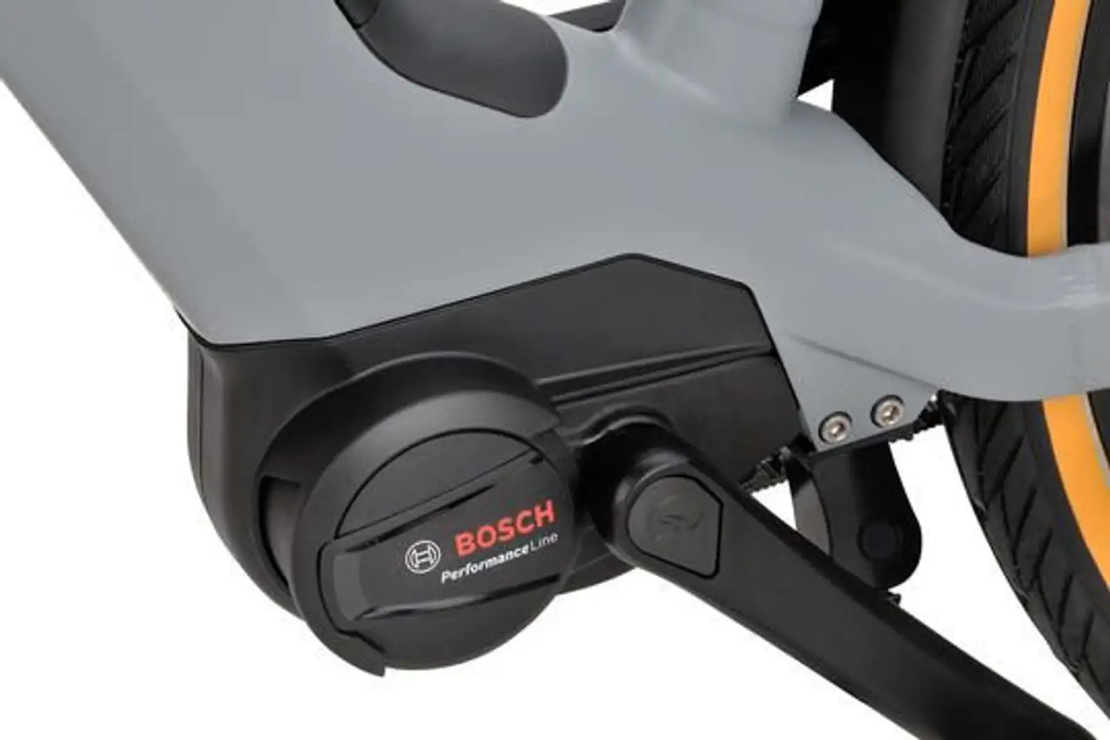 Sparta d-Rule Energy - Image 5