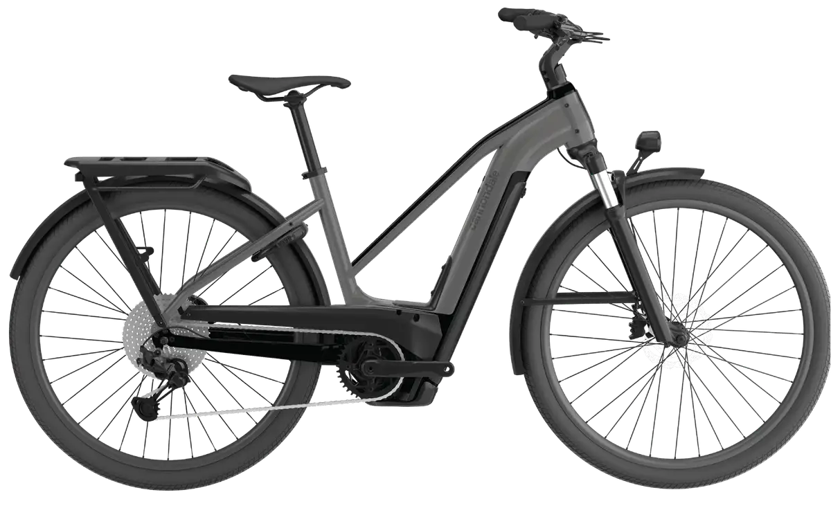 Cannondale Tesoro Neo X 1 STH - Afbeelding 1