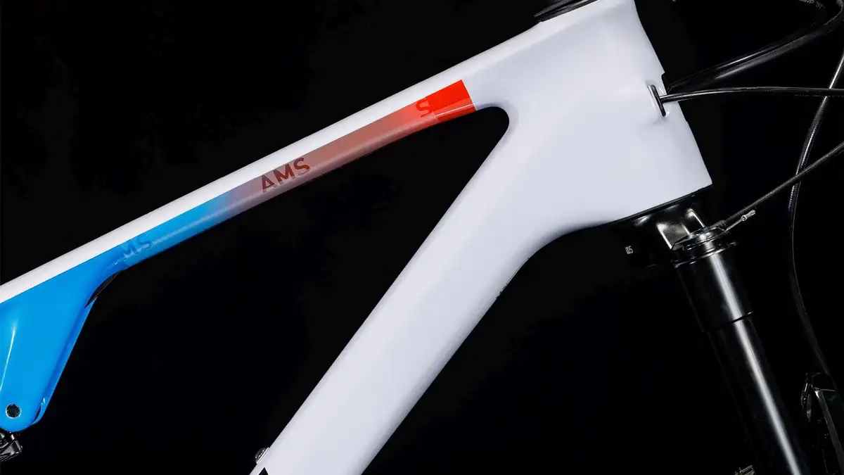 Cube AMS ZERO99 C:68X SL 29 TEAMLINE - Afbeelding 3