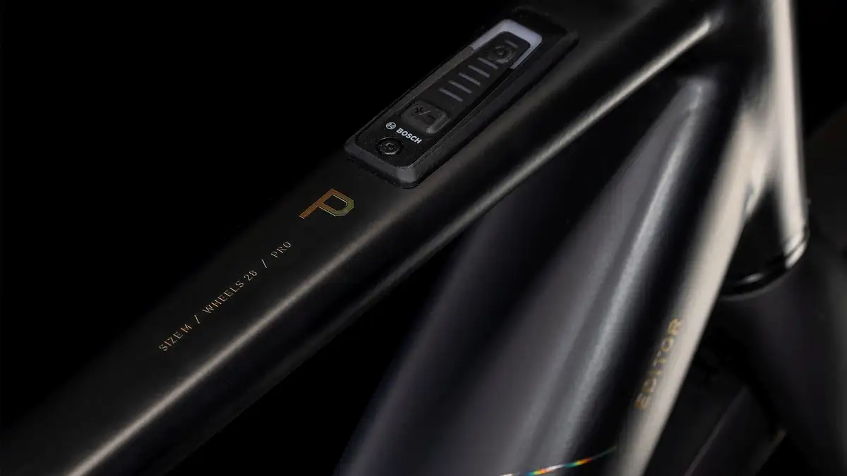 Cube EDITOR HYBRID PRO FE 400X - Afbeelding 2