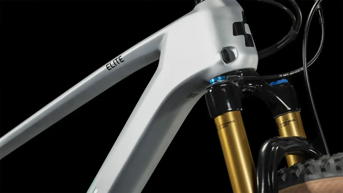 Cube ELITE C:62 PRO SILVER/CARBON - Afbeelding 3