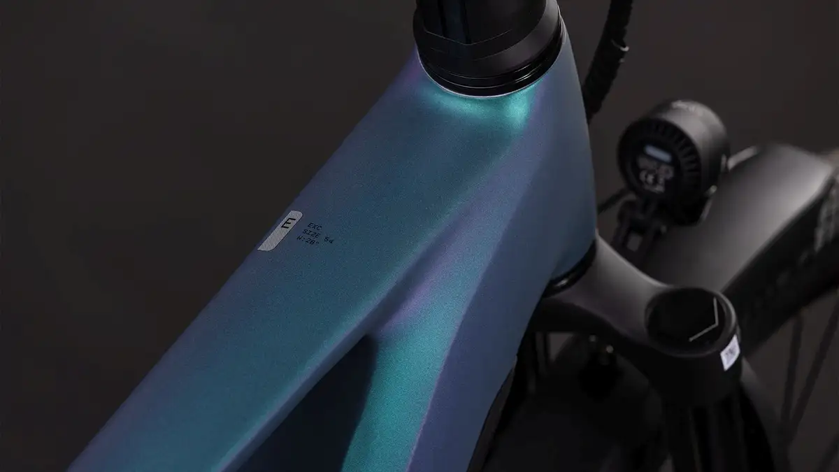 Cube KATHMANDU HYBRID EXC 800 SMARAGDGREY/PRISM - Afbeelding 2