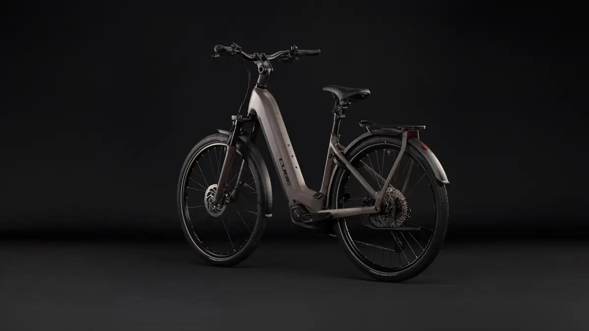 Cube KATHMANDU HYBRID ONE 800 - Afbeelding 10