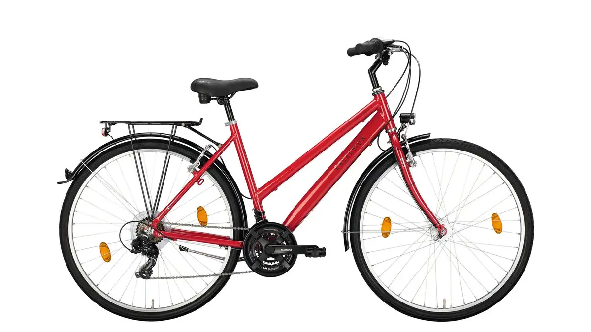 Excelsior Road Cruiser 21 Alu ND - Afbeelding 1