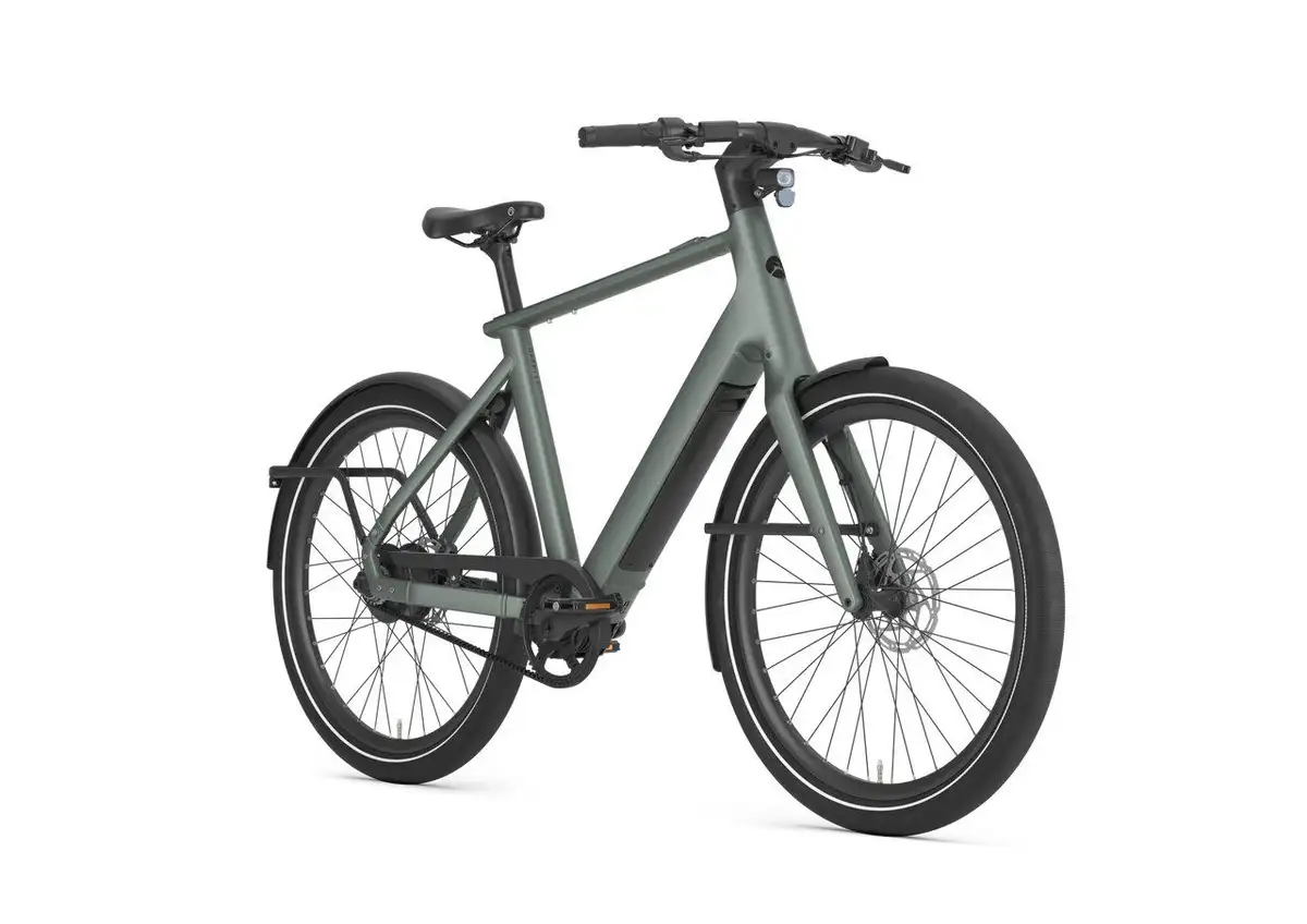 Gazelle Cayo C310 - Afbeelding 2