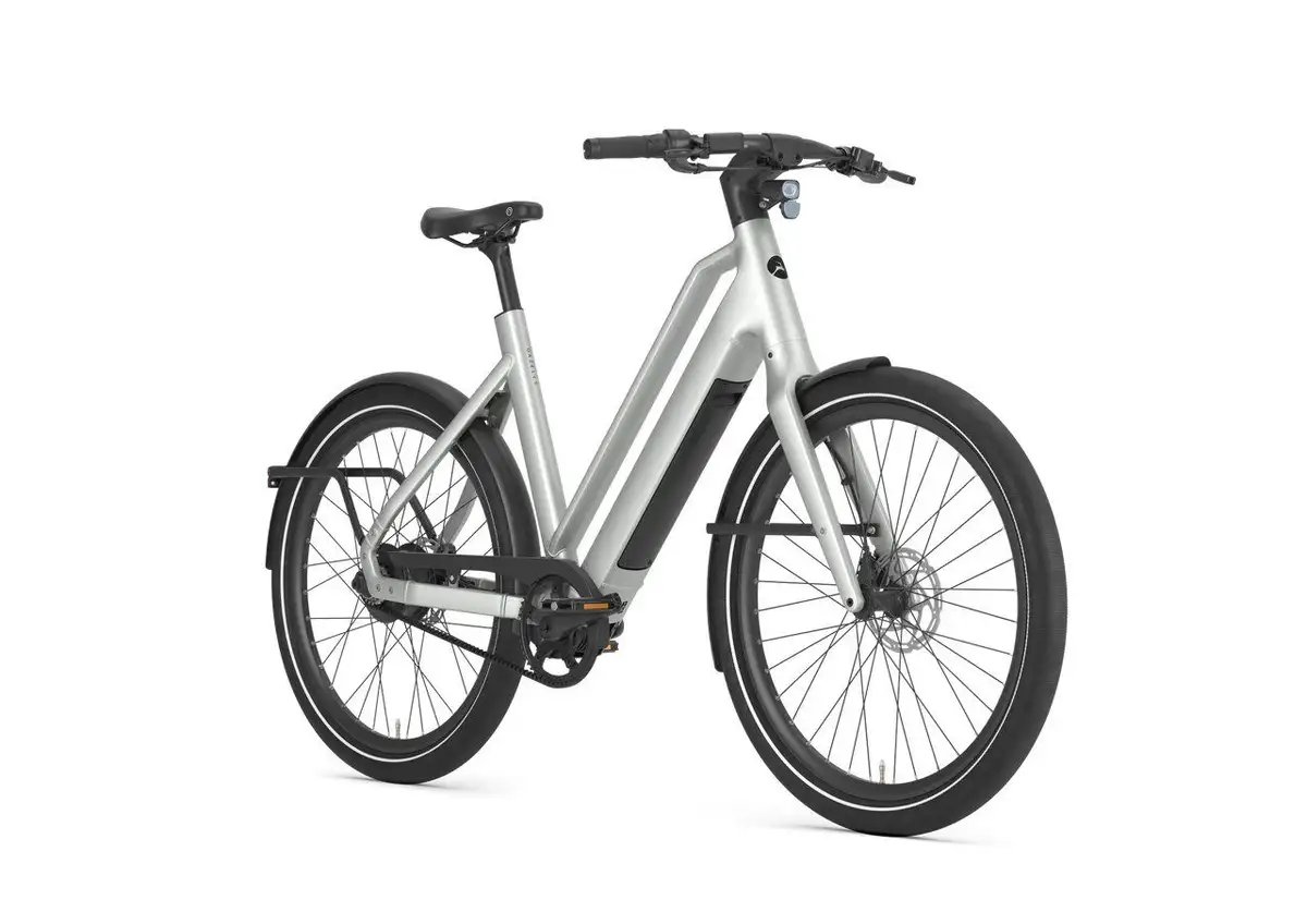 Gazelle Cayo C310 - Afbeelding 2