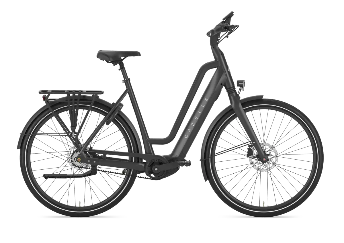 Gazelle Chamonix C5 - Afbeelding 1