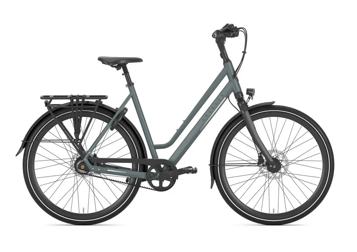 Gazelle Chamonix S8 - Afbeelding 1