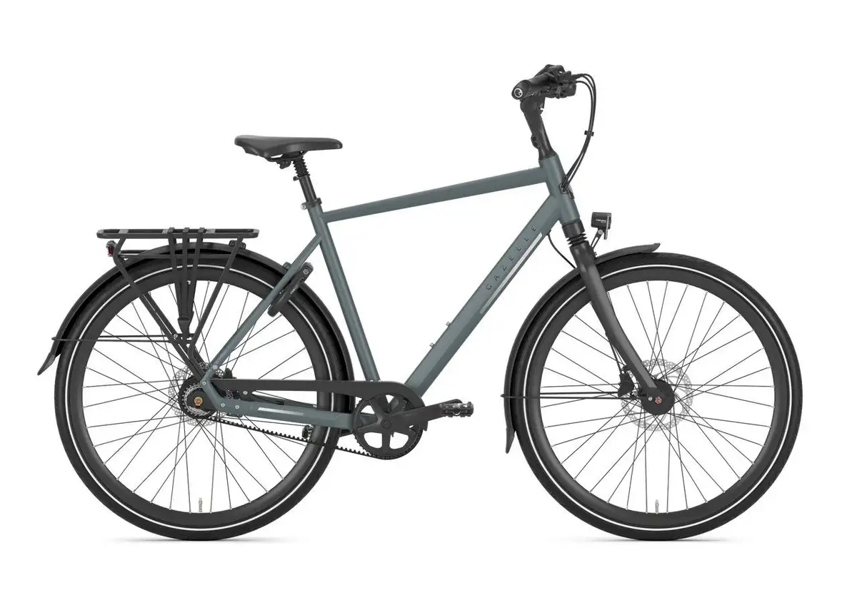 Gazelle Chamonix S8 - Afbeelding 1