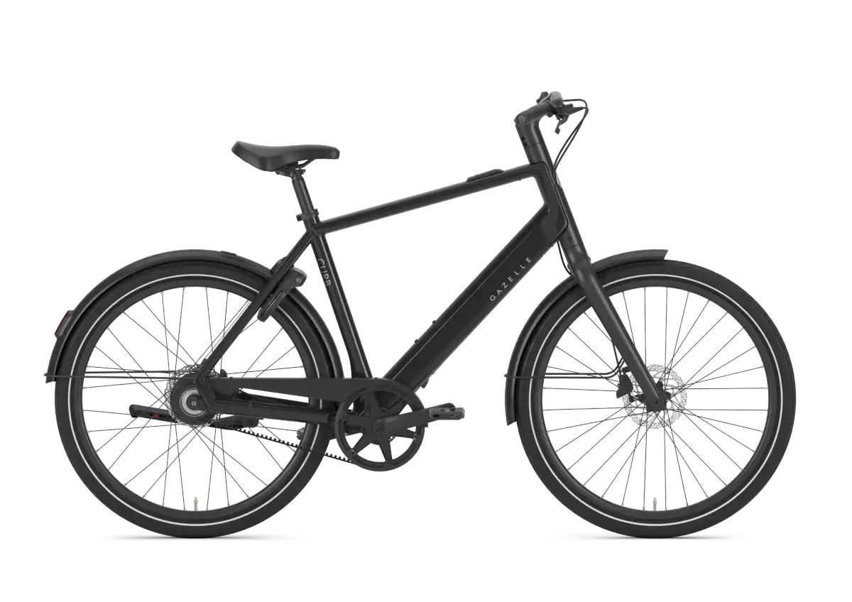 Gazelle Curb C1 - Afbeelding 1