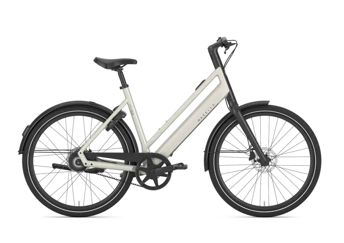 Gazelle Curb C1 - Afbeelding 1