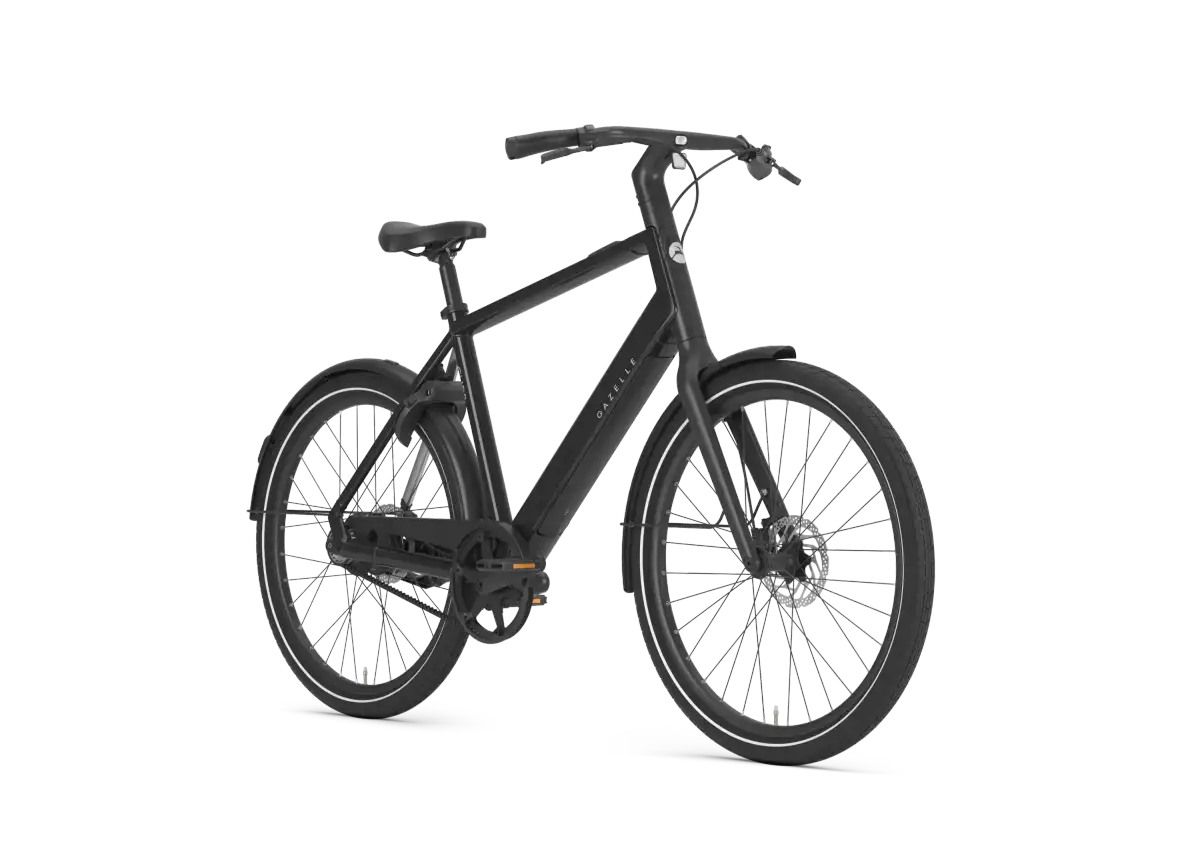 Gazelle Curb C1 - Afbeelding 2