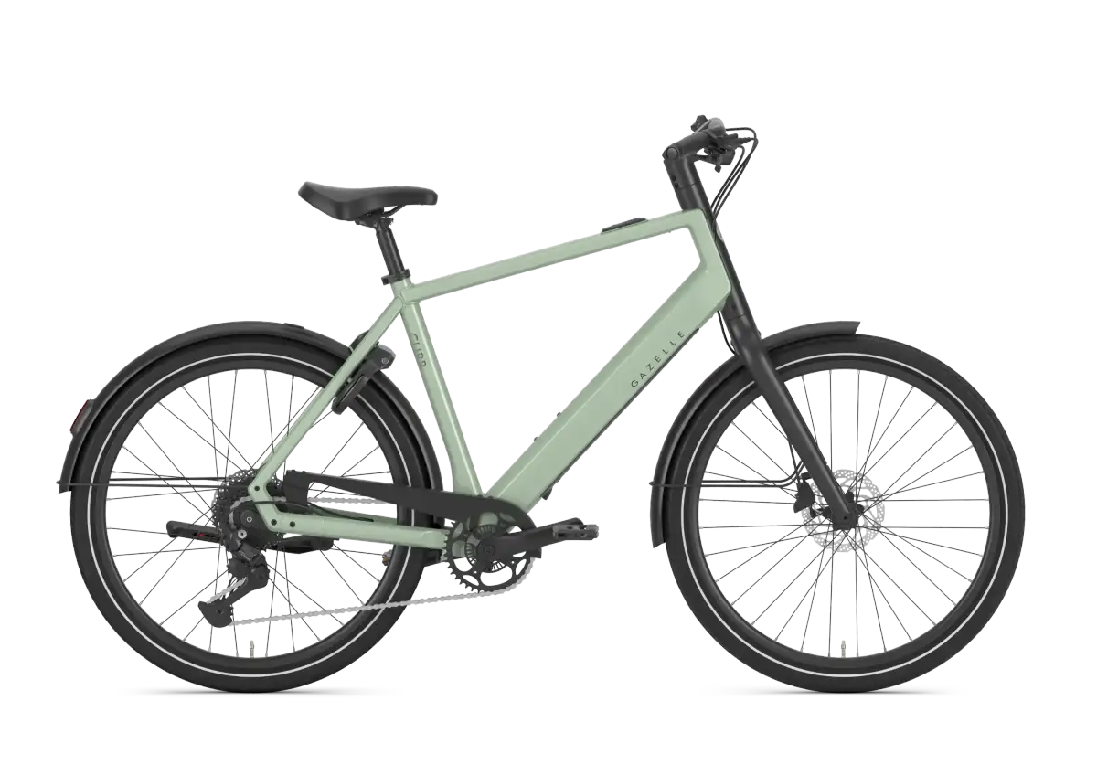 Gazelle Curb T9 - Afbeelding 1