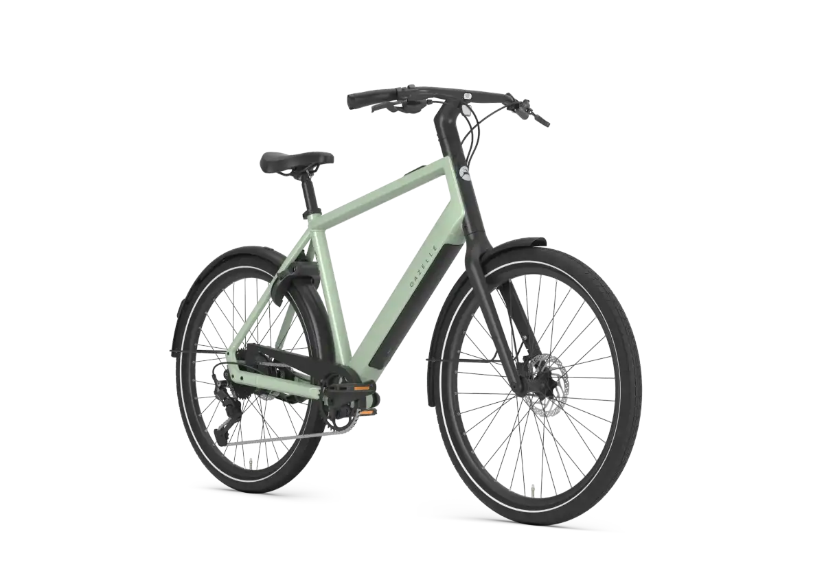 Gazelle Curb T9 - Afbeelding 2