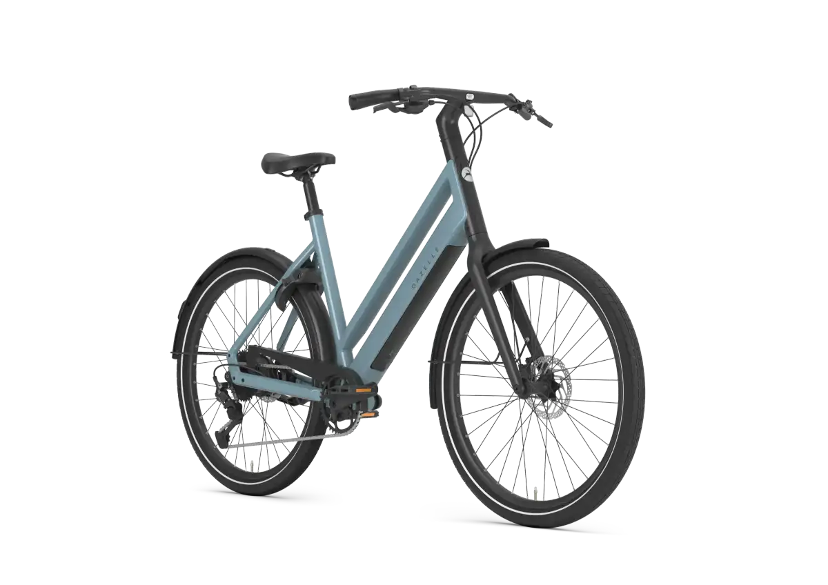 Gazelle Curb T9 - Afbeelding 2