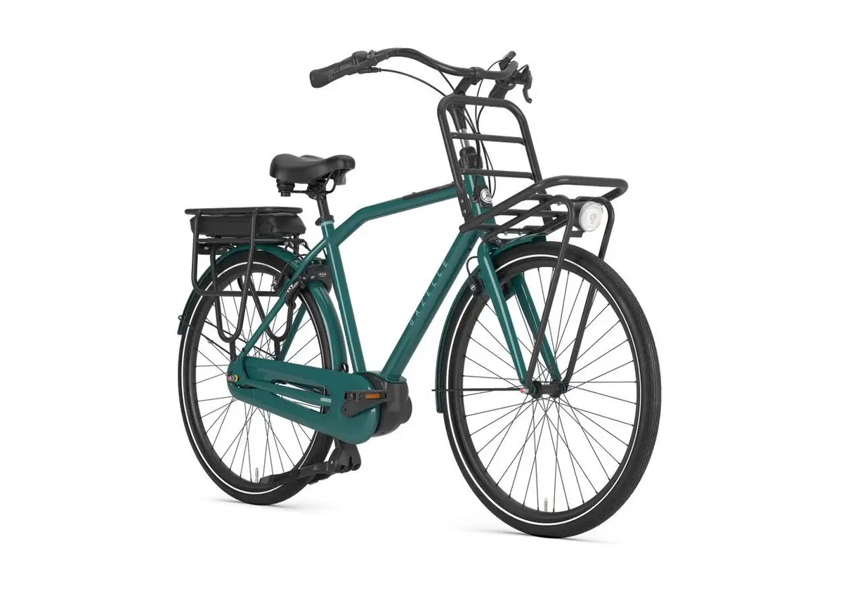 Gazelle HeavyDutyNL C7+ - Afbeelding 2
