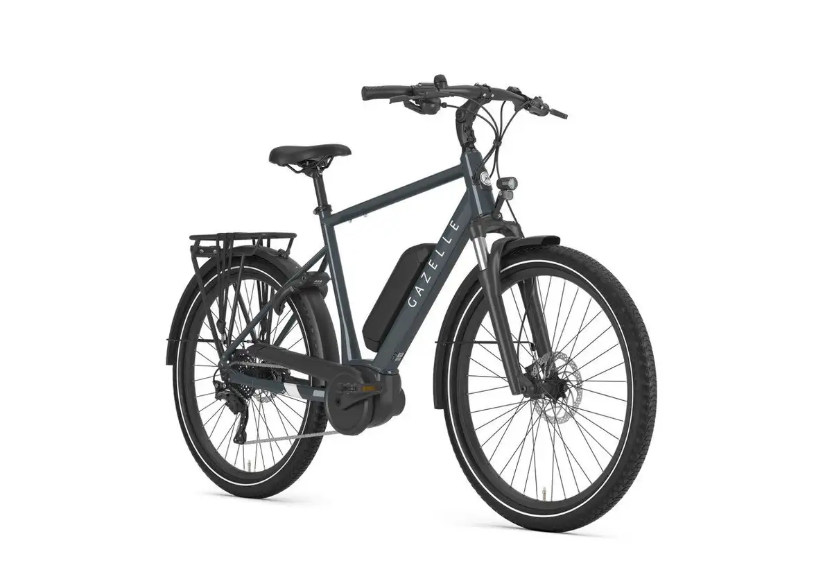 Gazelle Medeo T9 - Afbeelding 2