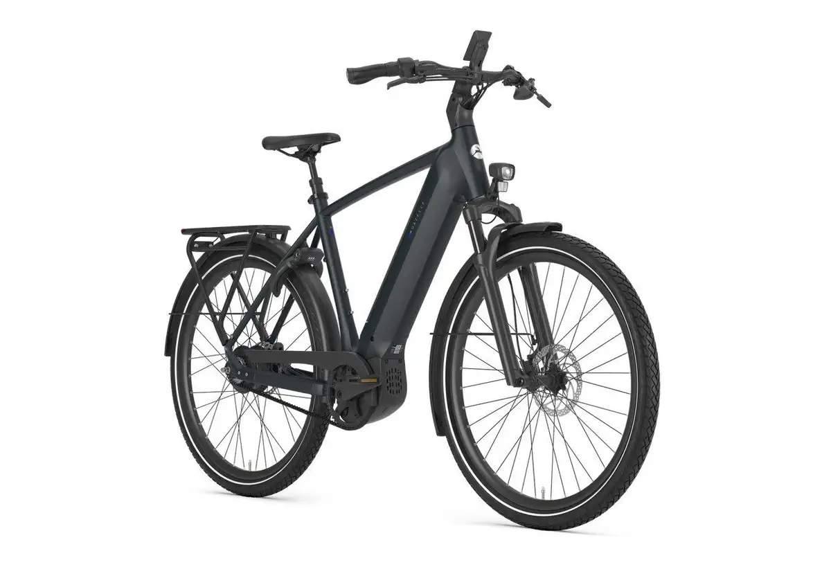 Gazelle Ultimate C380 - Afbeelding 2
