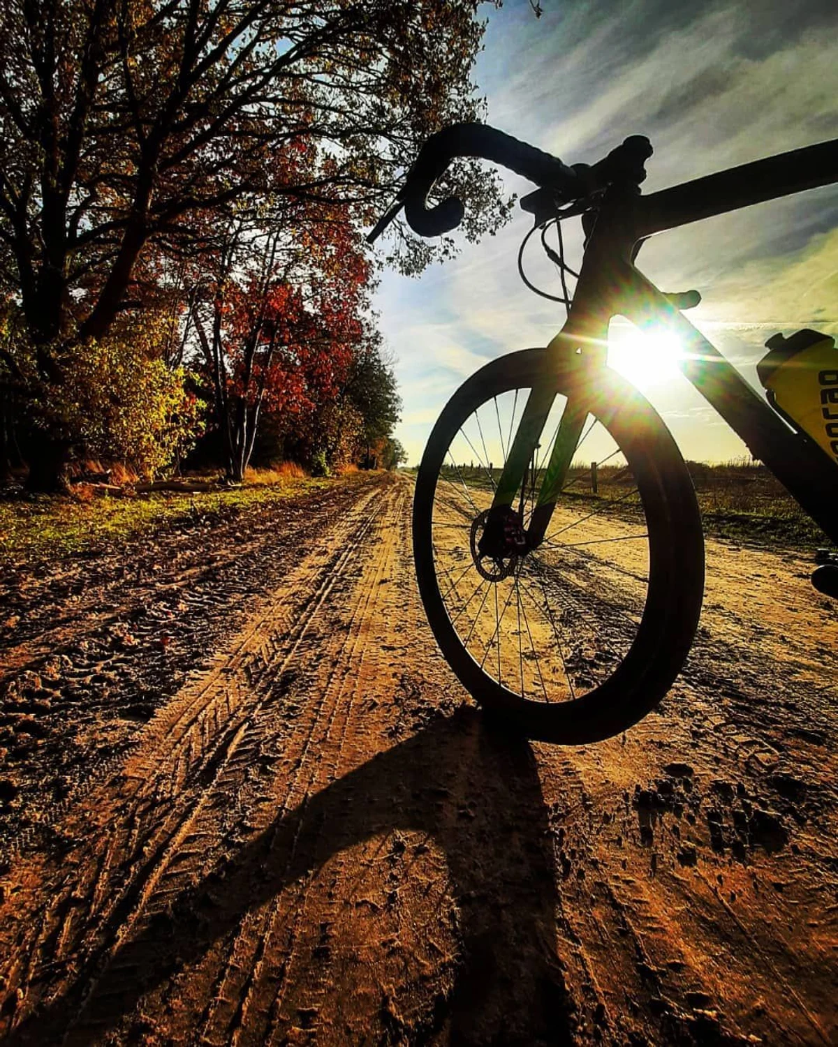 Partnership Manager Lease A Bike