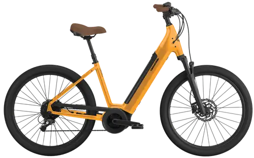 Cannondale Adventure Neo 4