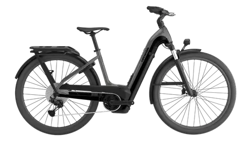 Cannondale Tesoro Neo X 1 LSTH