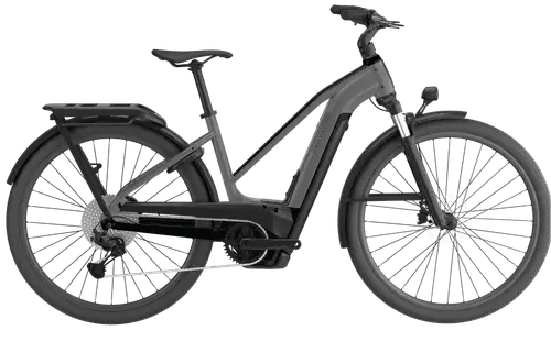 Cannondale Tesoro Neo X 1 STH