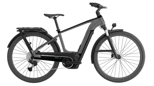 Cannondale Tesoro Neo X 1