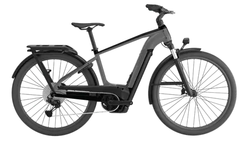 Cannondale Tesoro Neo X 1