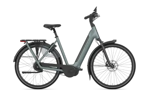 Gazelle Grenoble C310