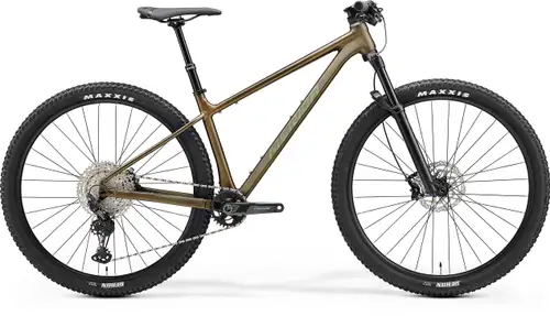 Merida BIG NINE TR LIMITED