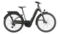 Cannondale Tesoro Neo X 1 LSTH