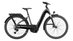 Cannondale Tesoro Neo X 1 LSTH