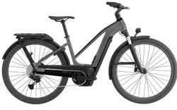 Cannondale Tesoro Neo X 1 STH