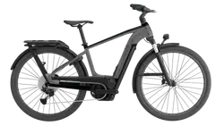 Cannondale Tesoro Neo X 1