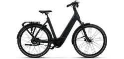 Vyber XCITEMNT BEAST EDITION D53