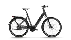 Dutch ID DID Phantom+ S75 TR Auto Belt