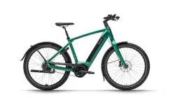 Dutch ID DID Shadow+ S75 TR Auto Belt