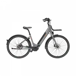 Freebike Flushing Dames Antra L