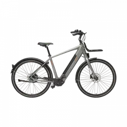 Freebike Flushing Heren Antra XL