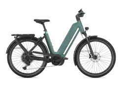 Gazelle Eclipse T11