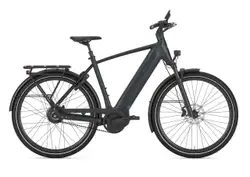 Gazelle Ultimate C380