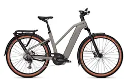 Kalkhoff ENTICE 5+ ADVANCE