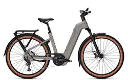 Kalkhoff ENTICE 5+ ADVANCE