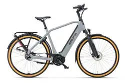 Sparta d-Rule Energy