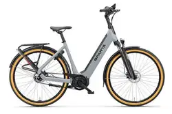 Sparta d-Rule Energy