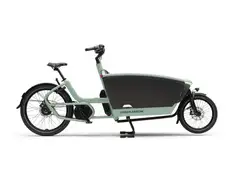 Urban Arrow FamilyNext Pro